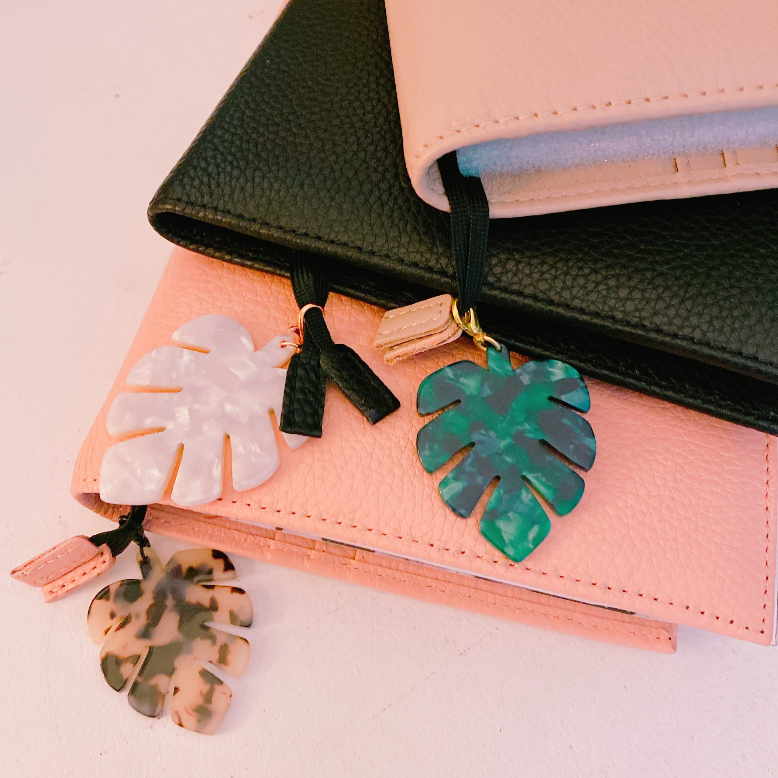 Tortoiseshell-clips-set-of-2